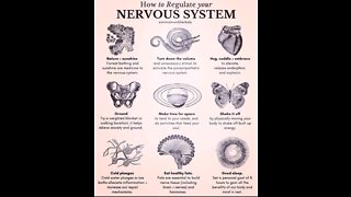 How to Regulate your Nervous System