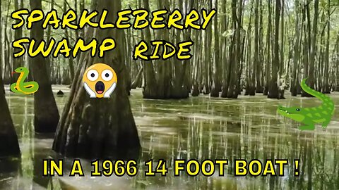Sparkleberry Swamp Ride Lake Marion South Carolina Santee Area In A 1966 John Boat