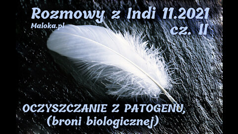 Rozmowy z Indi 11.2021, cz.II - OCZYSZCZANIE Z PATOGENU