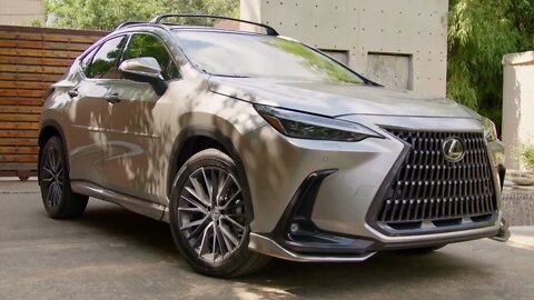 2022 Lexus NX Accessory Options