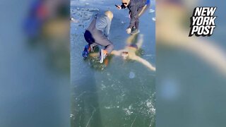Ice swimmer panics under frozen lake in chilling video