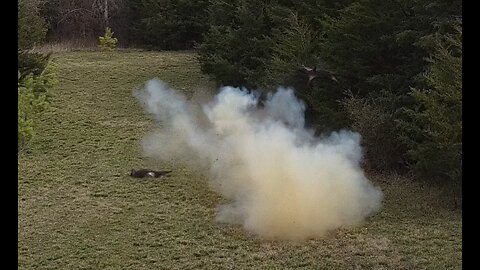 Tannerite Hogs