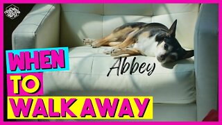Knowing WHEN to walk away | Goodbye Abbey