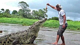 MAN AND BEAST - Part 6 - Amazing Animal Compilations