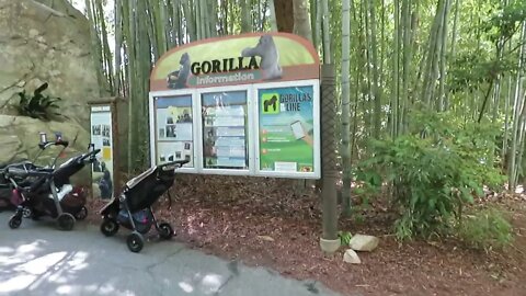 North Carolina Zoo (Asheboro, NC) - come walk with me, Steve Martin (#2 of 11 short videos)