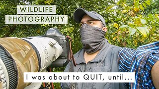 Turning FAILURE into SUCCESS | Wildlife Photography Blues + UPCOMING SERIES ANNOUNCEMENT
