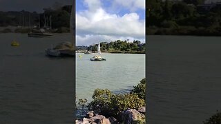 Sunk boat in the Causeway