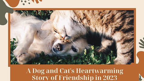 A Dog and Cat's Heartwarming Story of Friendship in 2023