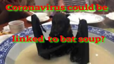 Coronavirus could be linked to Bat Soup?