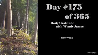 Grateful For Survivors