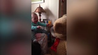 Small Baby Meets Big Teddy