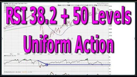 RSI Uniform Action at 38.2 and 50 Levels - #1284