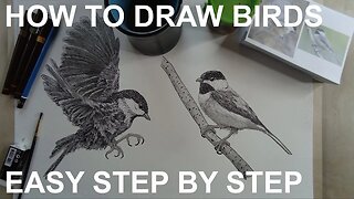 How to Draw Birds EASY to Follow Step by Step TUTORIAL