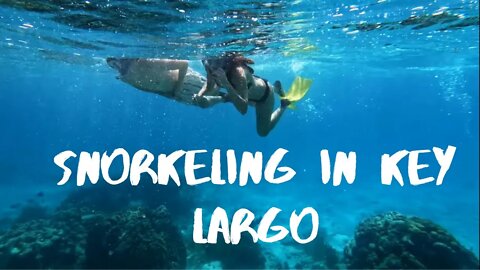 Key Largo Snorkeling - Best in the Florida Keys and USA!