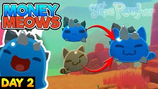 Perrrrfect Money | Slime Rancher