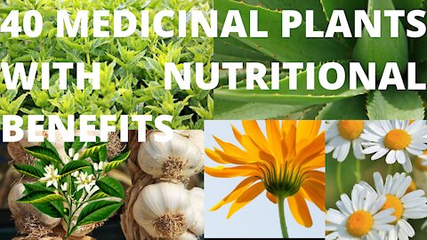 40 Medicinal Plants with Nutritional Benefits You Should Grow at Your Home (Pt. 2)