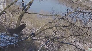 Hays Eagles Dad flies in with Rat gift for Mom 10:39AM