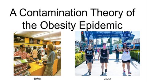 A Contamination Theory of the Obesity Epidemic