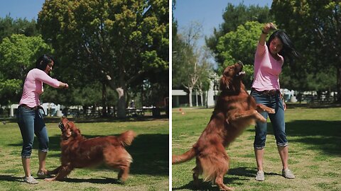 Watch This Woman and Her Adorable Dog Play Together!