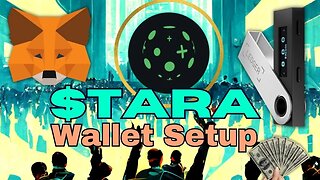 How to import Taraxa TARA crypto to Metamask and Ledger Wallet? Tutorial