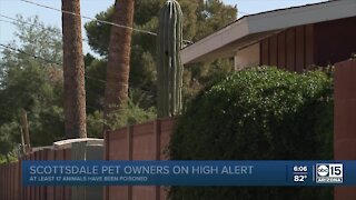 Valley neighborhood concerned someone is poisoning their pets