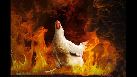 Another Chicken Production Facility Burns Down And More News & Information