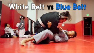 BJJ White Belt vs Blue Belt -. Circadian MMA (10-01-2022)