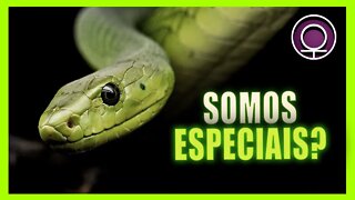 Nossa Geração e a Serpente