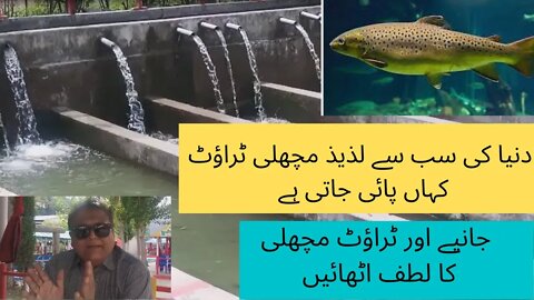 ٹراؤٹ فش دنیا کی سب سے لذیذ مچھلی | Trout Fish The Most Delicious fish | Trout Fish Information |