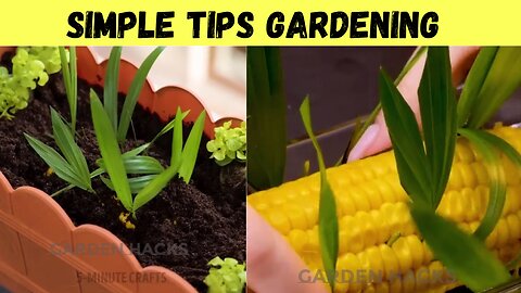 Garden Hacks Simple Tips