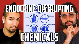 ENDOCRINE-DISRUPTING CHEMICALS: What They Are, and Why You Should Care