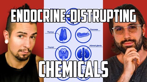 ENDOCRINE-DISRUPTING CHEMICALS: What They Are, and Why You Should Care