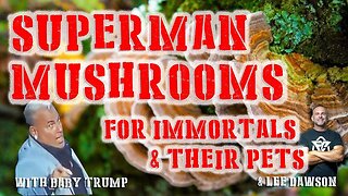 Superman Mushrooms. For Immortals & Their Pets. With Baby Trump & Lee Dawson