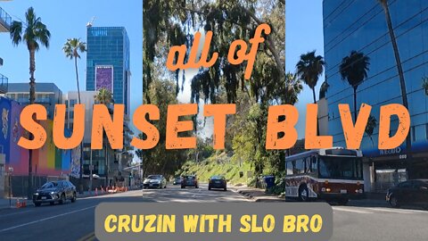 L.A.'s Sunset Blvd: All 22 Miles