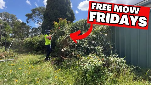 Free Mow Fridays! Strangers Stunned as We Offer FREE Yard Cleanup - Must Watch Transformation!