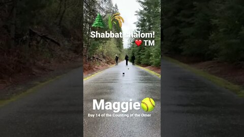 Shabbat shalom! Bowling in the woods! 🌾🌲🥎