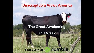 The Great Awakening This Week