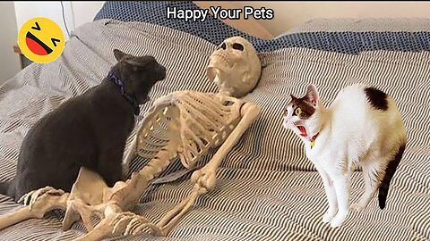 Funny animal videos 2023🤣 Funiest cats and dogs videos 😸🐶 || #animals