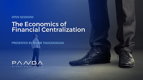 The Economics of Financial Centralization | Rahim Taghizadegan