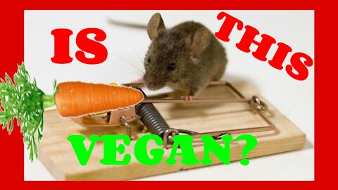 Do Vegans Kill Mice?