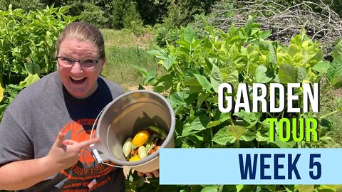 Garden Tour 2022: Week 5