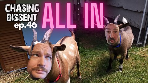 GOAT - Chasing Dissent Is The GREATEST Of All Time ! - ALL IN - 46