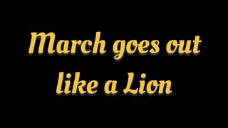 March Goes Out Like a Lion