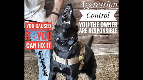Aggressive Dog Training - YOU, the Owner Are Responsible! Train Daily! Train Often!