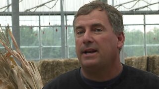 Great Pumpkin Farm provides support for local farmers