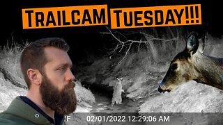 TRAILCAM TUESDAY!!!