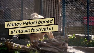 Nancy Pelosi booed at music festival in NYC