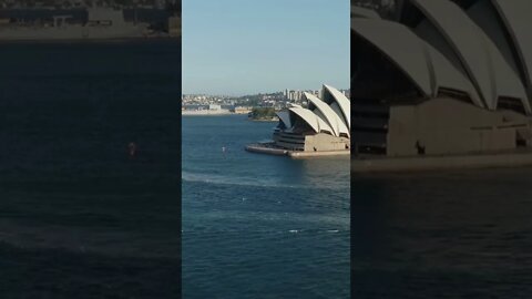 Sydney Australia Boats Racing