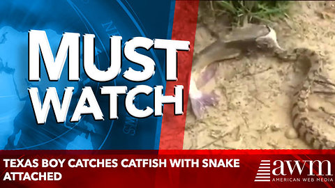 Texas boy catches catfish with snake attached