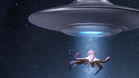 What If Octopuses Are Aliens from Outer Space?